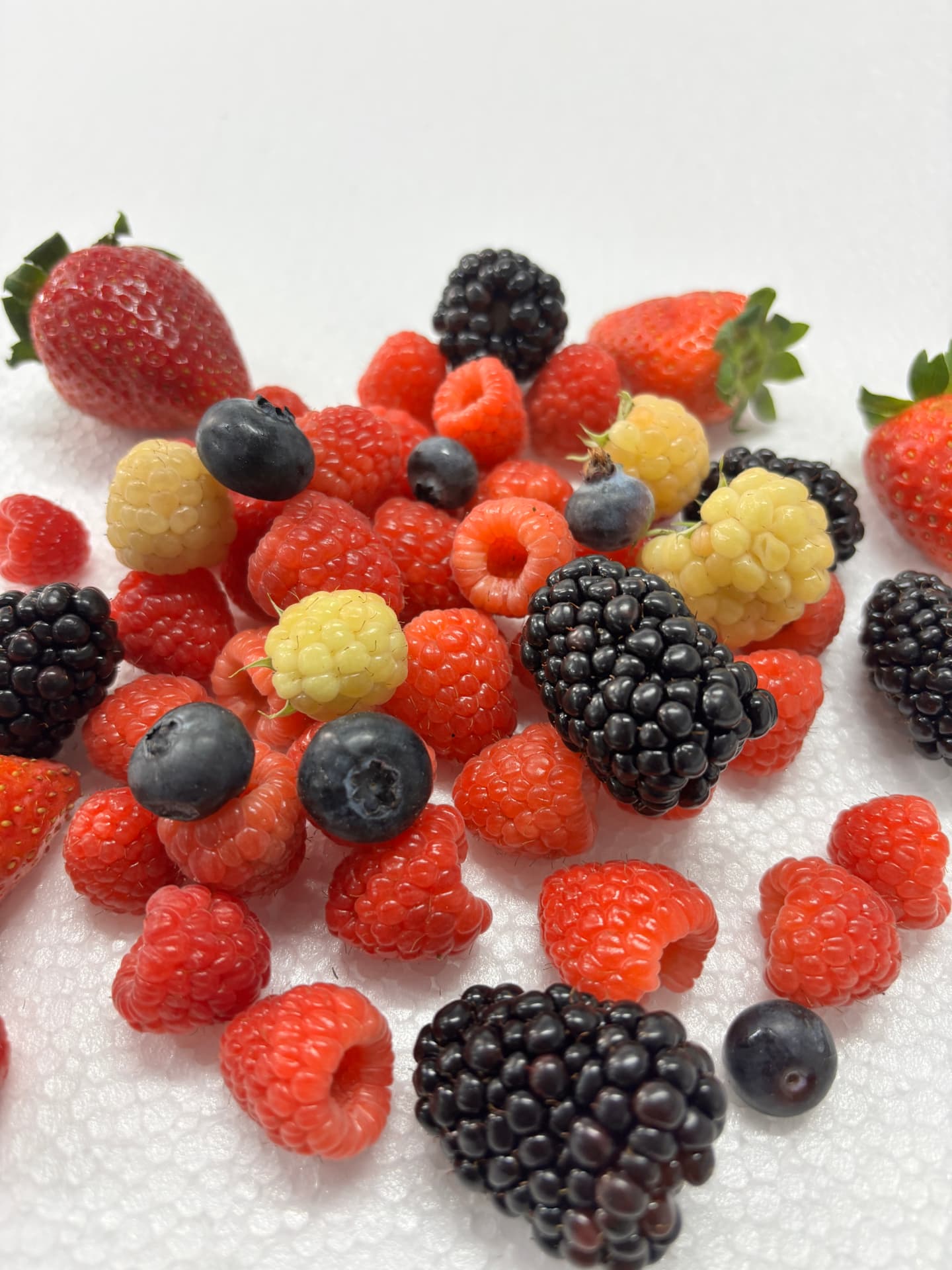 Seasonal mixed berry selection