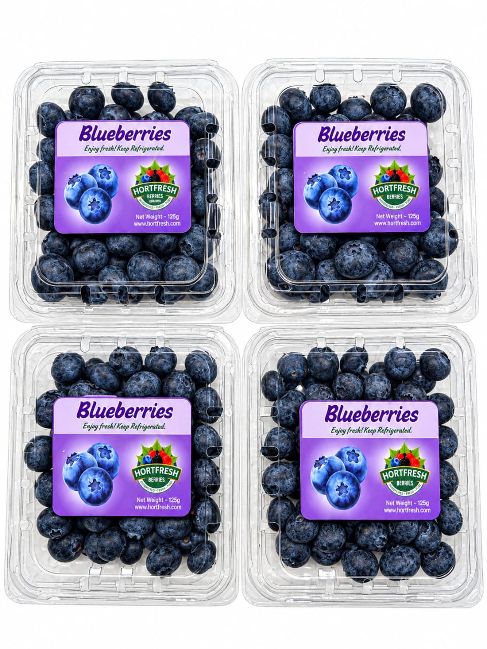 Blueberry recipe ingredients